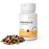 PROPOLIS Epigemic® BIO 90 kps